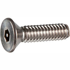 Tamper-Proof Security Cap Screws