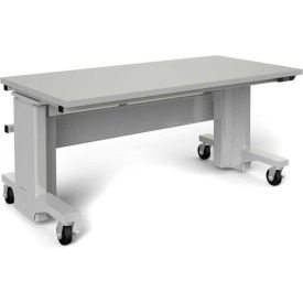 Mobile Ergonomic Adjustable Laboratory Workbenches