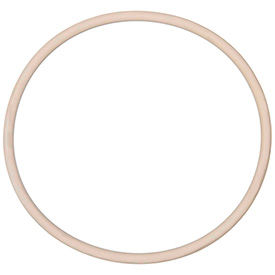 Ultra Chemical Resistant PTFE O-Rings