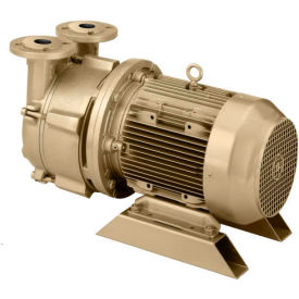 Liquid Ring Vacuum Pumps