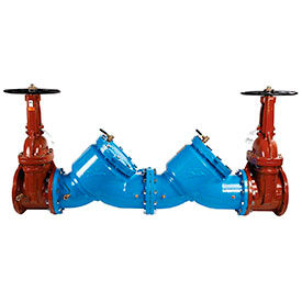 Watts Double Check Valve Assembly Flanged Connection