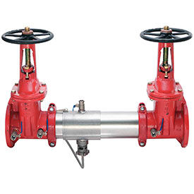Watts Reduced Pressure Zone Assembly Flanged Connection
