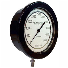 Perma-Cal Industries ABS Plastic Compound Pressure Gauges With Stainless Steel Connections