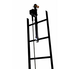 Lad-Saf™ Vertical Safety System