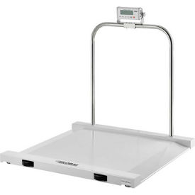 Dual Ramp Wheelchair Scales