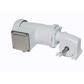 Leeson Right-Angle AC Washguard Gearmotors