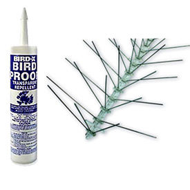 Bird Spikes