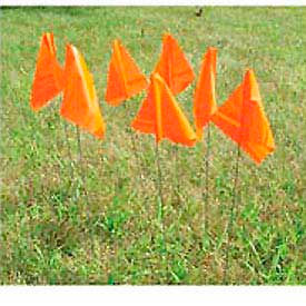 Marking Flags