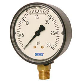 Pressure Gauges 