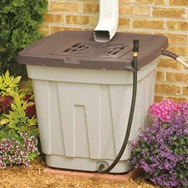 Rain Barrel