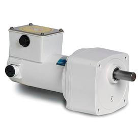 Leeson Parallel Shaft DC Washguard® Gearmotors