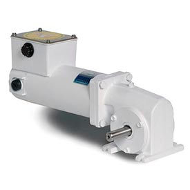 Leeson Right-Angle Washguard® DC Gearmotors