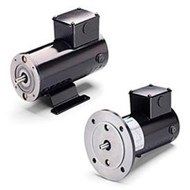 Leeson DC Motors, Metric Frame, IP54