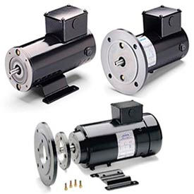 Leeson DC Motors, Metric Frame, IP54, Low Volt