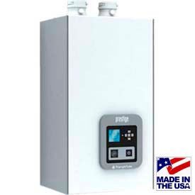 Triangle Tube Stainless Steel Wall Mounted Boilers