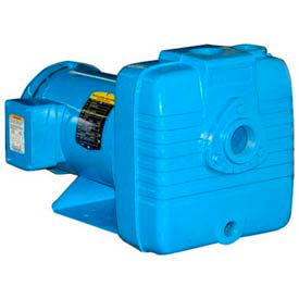 Self Priming Pump