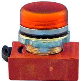 Springer Controls Motor Pilot Lights