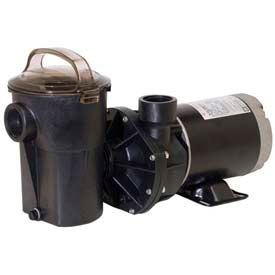 Above/On-Ground Pool Pumps