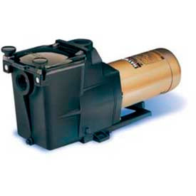 Inground Swimming Pool Pumps