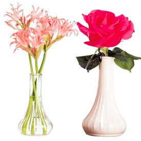 Bud Vase