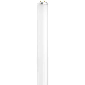 T12 Linear Fluorescent Lamps