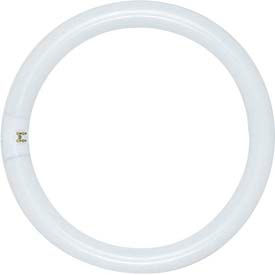 Circline Fluorescents