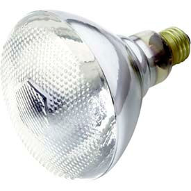 Reflector Flood and Spot Incandescent Lamps