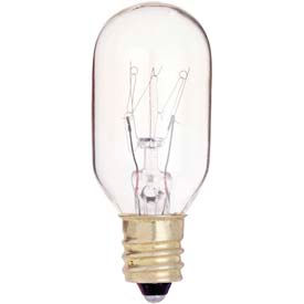 Type S & T Incandescent Lamps
