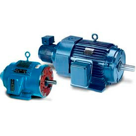 3-Ph Inverter Duty Motors