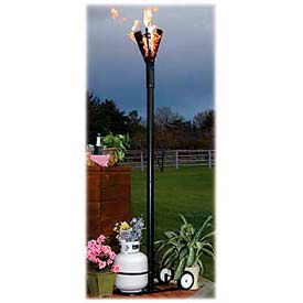 Torch Lights