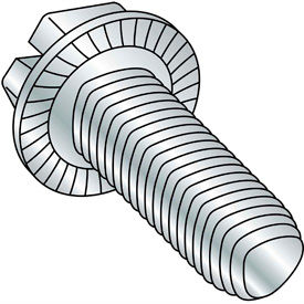 Slotted Indented Hex Washer Thread Rolling Screws