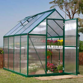Poly-Tex, Inc HG5008G-1B Palram - Canopia Nature™ 6 x 8 Greenhouse, Green Frame, Twin-Wall image.