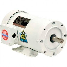 Washdown, 3/4 HP, 3-Phase, 1725 RPM Motor view 2
