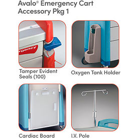 Capsa Solutions, Llc AM-EM-ACCPK1 Capsa Healthcare Avalo® Emergency Accessory Package 1 image.