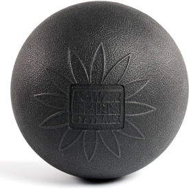 POWER SYSTEMS. 80271 Power Systems Myo Release Ball, 6" Dia., Black image.