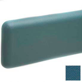 Pawling Corporation WG-6-12-583 Wall Guard W/Rounded Top & Bottom Edges, Aluminum Retainer, 6"H x 12L, Alexis Blue image.