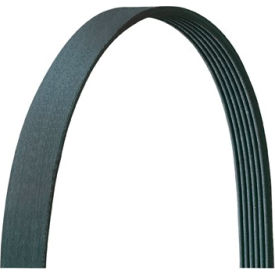 V-Ribbed, Drive Rite Traditional, Dayco 5040290DR V-Ribbed, Drive Rite Traditional, Dayco 5040290DR