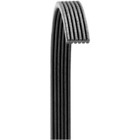 V-Ribbed, Drive Rite Traditional, Dayco 6060719DR