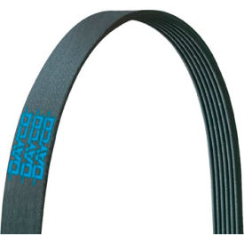 Poly Rib Belt, Dayco E030250 Poly Rib Belt, Dayco E030250