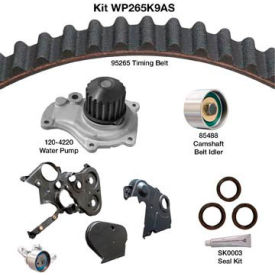 Water Pump Kit With Seals, Dayco WP265K9AS