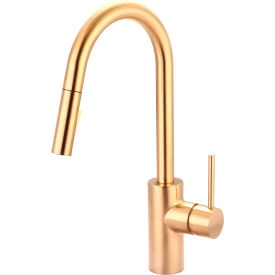 PIONEER INDUSTRIES INC 2MT260-BG Pioneer Motegi 2MT260-BG Single Lever Pull-Down Kitchen Faucet PVD Brushed Gold image.