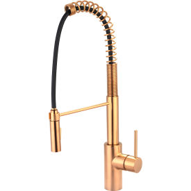 PIONEER INDUSTRIES INC 2MT270-BG Pioneer Motegi 2MT270-BG Single Lever Pre-Rinse Spring Pull-Down Kitchen Faucet PVD Brushed Gold image.