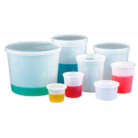 Qorpak 235292 8oz (240ml) Translucent HDPE Storage Containers with Snap-On Lids, Case of 100