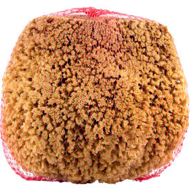Quali-Tech Mfg SPG-L RollerLite Large Natural Sea Sponge, Beige, 12/Case  - SPG-L image.