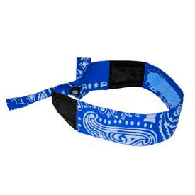 Radians Inc RCS108 Radians RCS108 Arctic Radwear® Cooling Headband, Blue Paisley image.