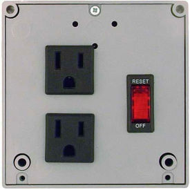 Functional Devices PSPT2RB4 RIB® Enclosed Power Control Center PSPT2RB4, 4A Breaker/Switch, 120VAC, 2 Outlets image.