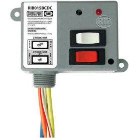 RIB® Dry Contact Input Relay RIB01SBCDC Enclosed 120VAC 20A SPDT Override 