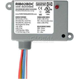 RIB® Dry Contact Input Relay RIB02BDC Enclosed 208-277VAC 20A SPDT 