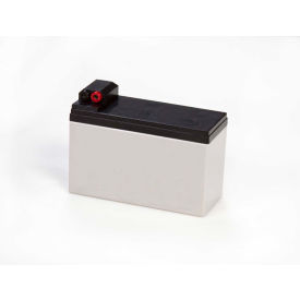 Rice Lake Weighing Systems Inc MSI-4260-BATT Measurement Systems International Port-A-Weigh Rechargeable Battery image.