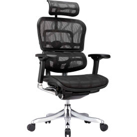 Raynor Marketing ME22ERGLT-BLK Eurotech Ergo Elite Executive High Back Chair - Black Mesh image.